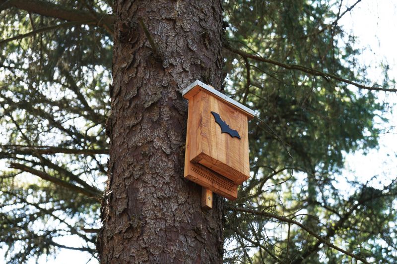 Bat House Installation Service