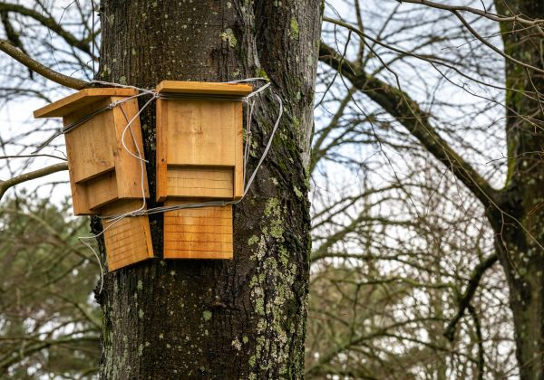 Bat Shelter Installation